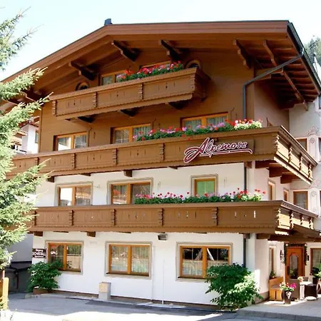 Alpenrose *